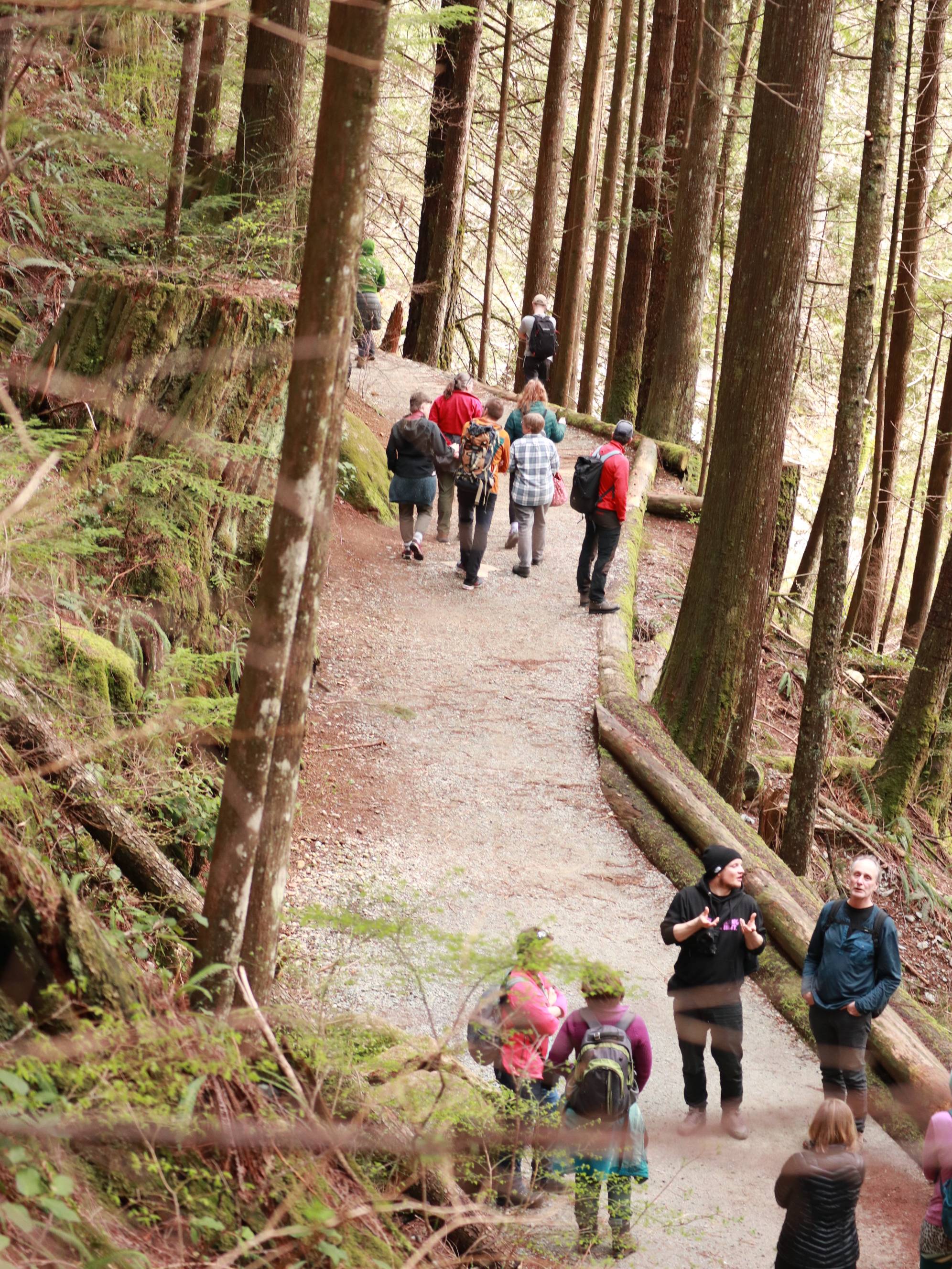 walking on trail